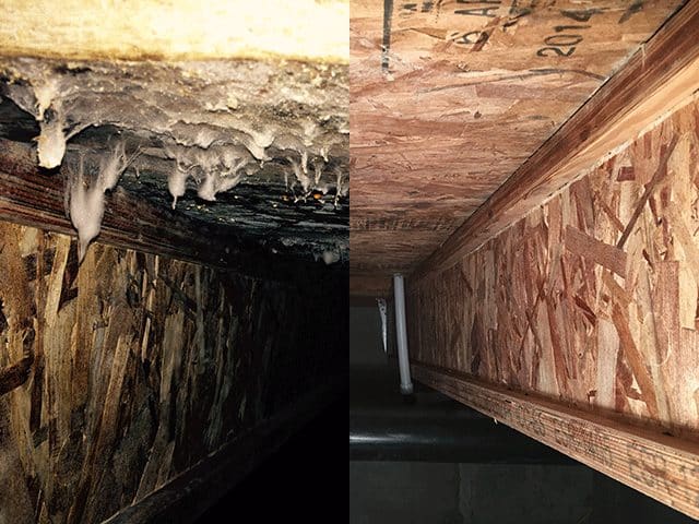 Before & After