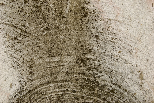 Types of Mold Types of Mold