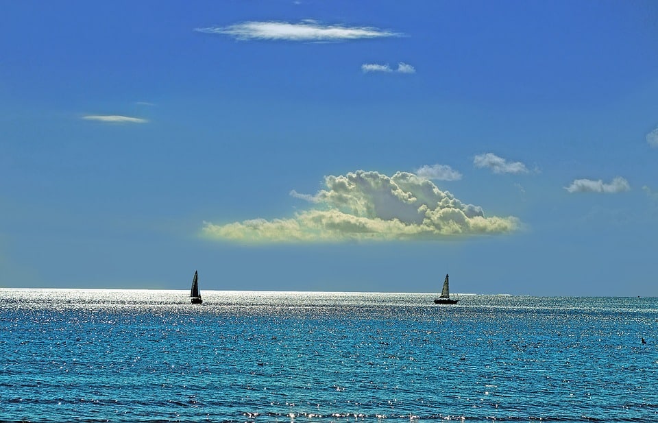 World Oceans Day World Oceans Day