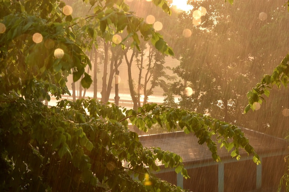 Brace Yourself for Spring Storms Brace Yourself for Spring Storms