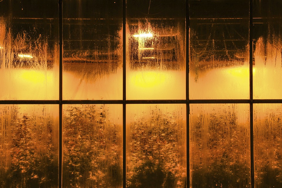 Fight Condensation at Home Fight Condensation at Home