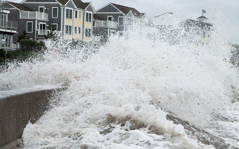 Everything You Need to Know About Flood Barriers Everything You Need to Know About Flood Barriers