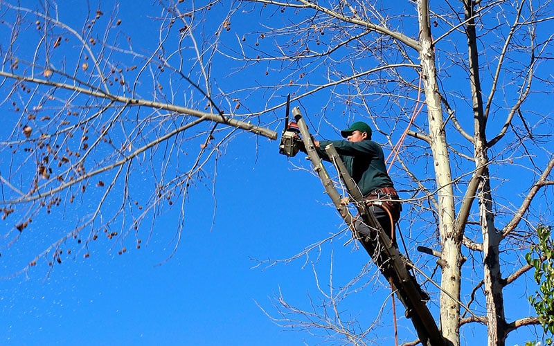 How to Prepare for Severe Windstorms How to Prepare for Severe Windstorms