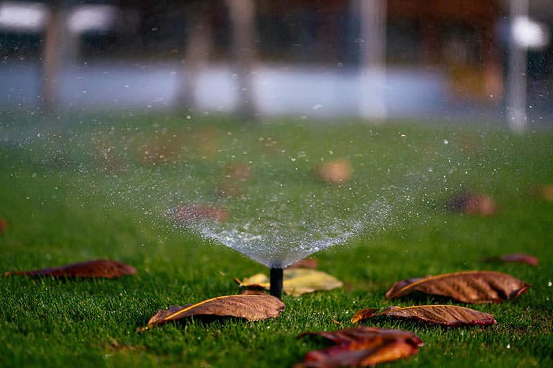 Sprinklers and Water Damage: What You Need to Know